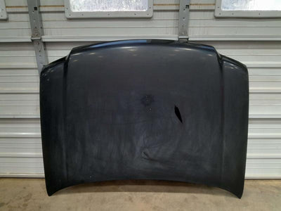 2005 Ford Expedition Hood