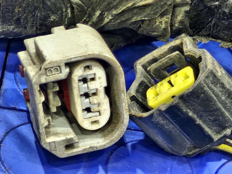 2010 Dodge Ram 1500 Wire Harness (Engine)