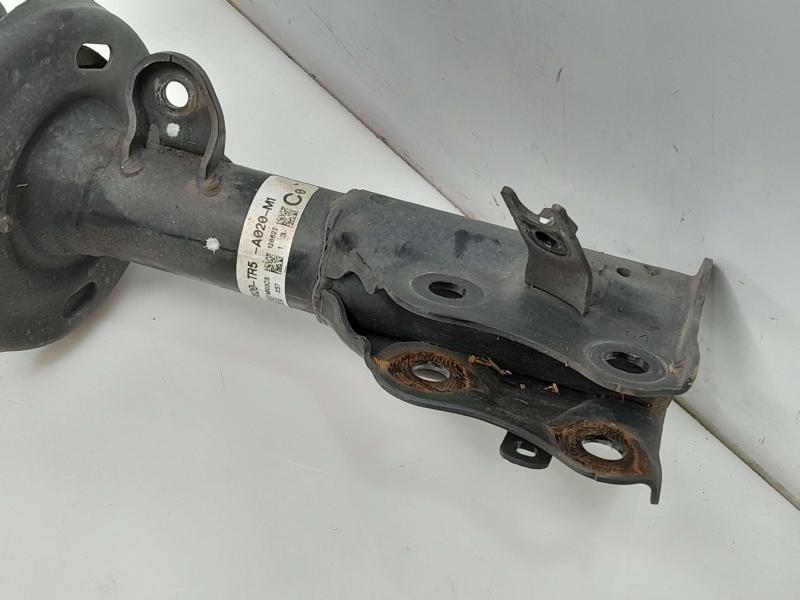 2012 Honda Civic Strut Assembly