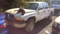 2004 Dodge Dakota Pickup Box/Bed Assembly