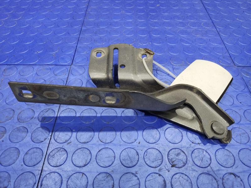 2016 Volkswagen Jetta Hood Hinge