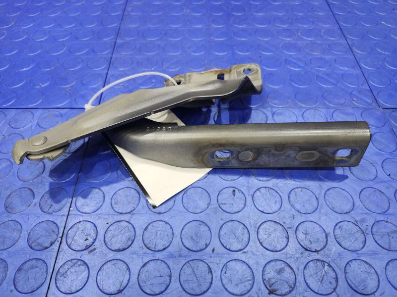 2016 Volkswagen Jetta Hood Hinge