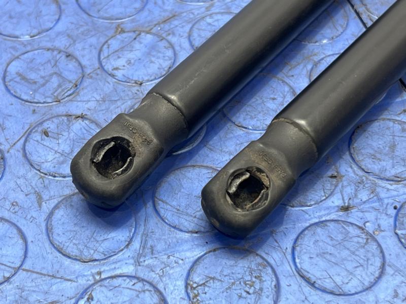 2008 - 2010 Ford F250 F350 F450 F550 Hood Shock Set OEM 7C3Z16C826AA