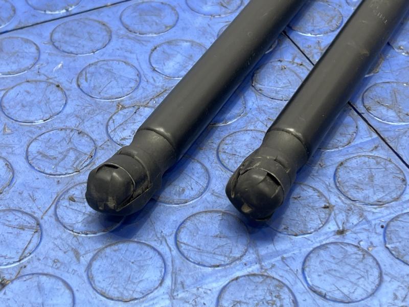 2008 - 2010 Ford F250 F350 F450 F550 Hood Shock Set OEM 7C3Z16C826AA