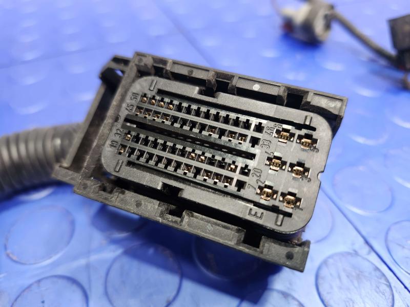 2014 Ford Focus Wire Harness (Misc)