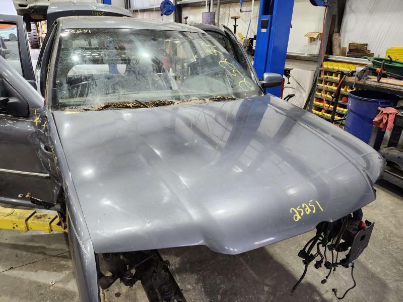 2005 Volkswagen Jetta Hood