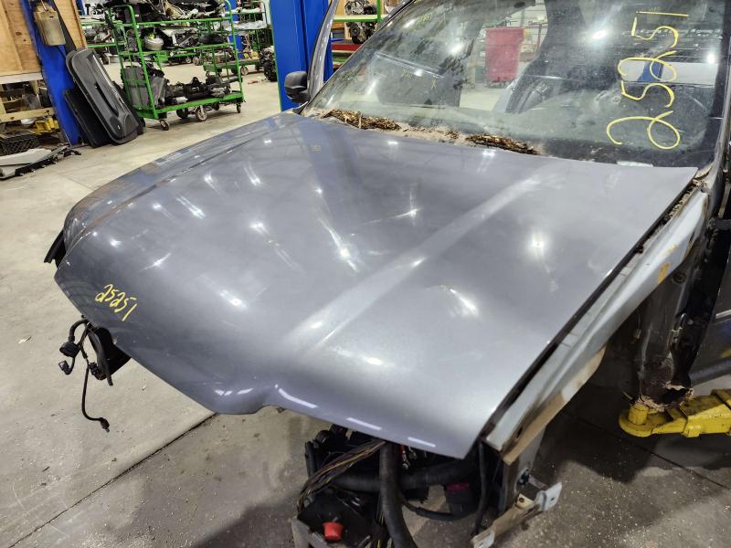 2005 Volkswagen Jetta Hood
