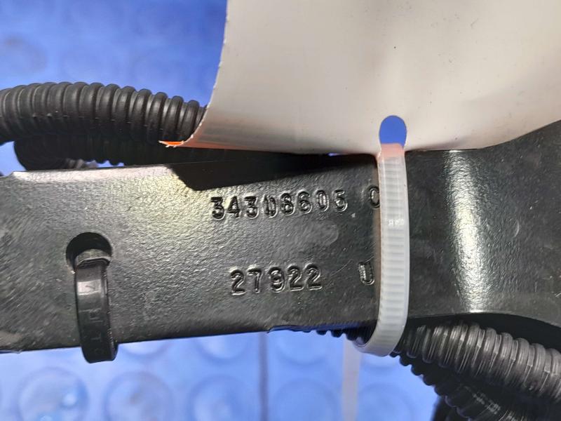 2023 Acura Integra Front Seat Belt