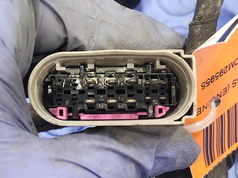 2013 Volkswagen Jetta Wire Harness (Engine)
