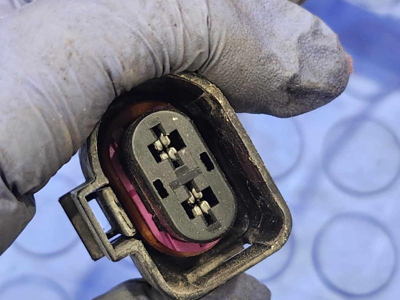 2013 Volkswagen Jetta Wire Harness (Engine)