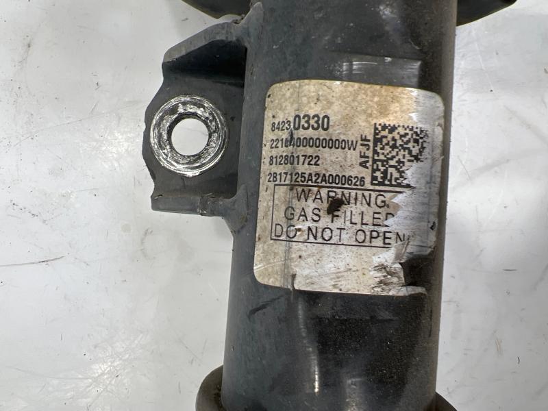 2018 Chevrolet Equinox Strut Assembly