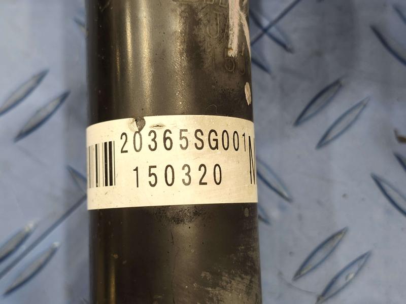 2015 Subaru Forester Strut Assembly