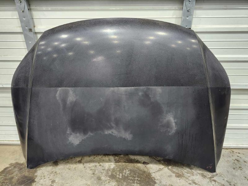 2009 Volkswagen Tiguan Hood