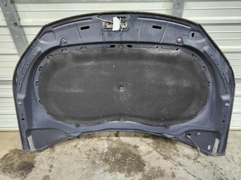 2009 Volkswagen Tiguan Hood