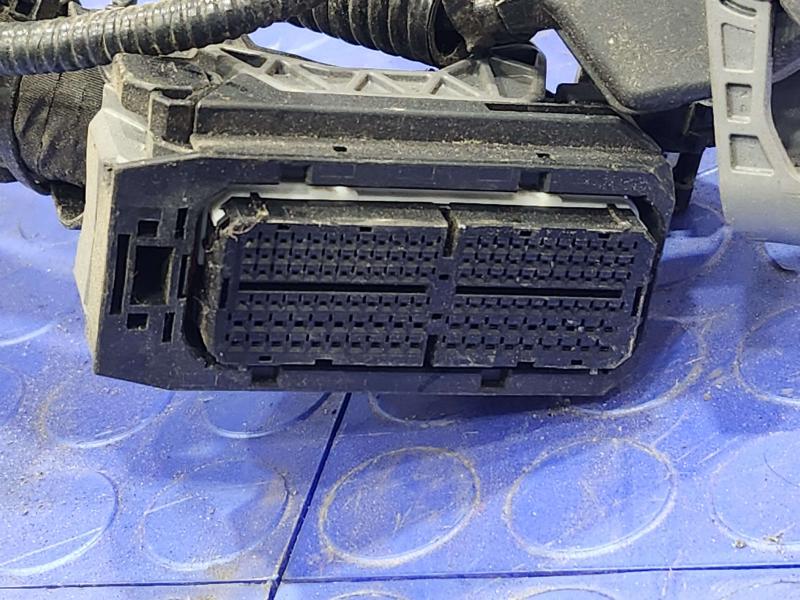 2021 Toyota RAV4 Wire Harness (Engine)