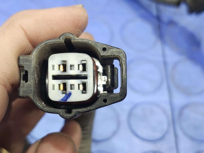 2021 Toyota RAV4 Wire Harness (Engine)