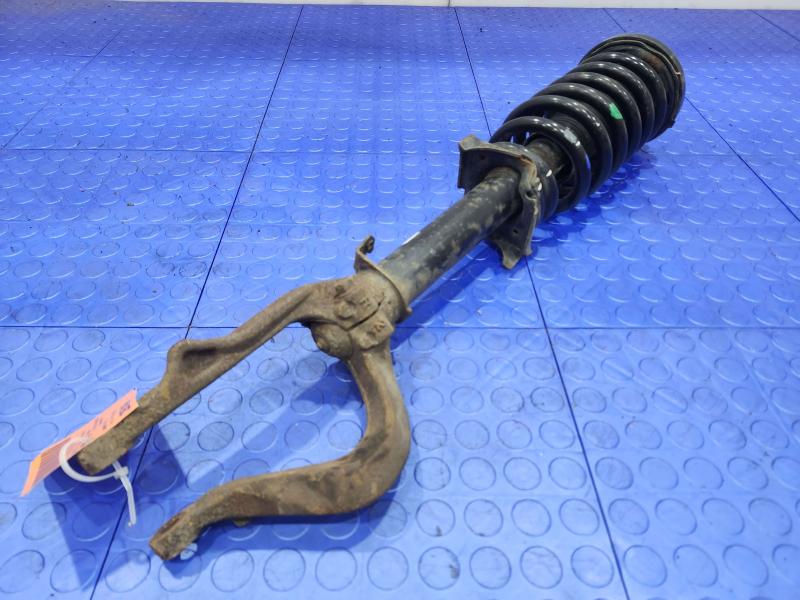 2009 Honda Accord Strut Assembly