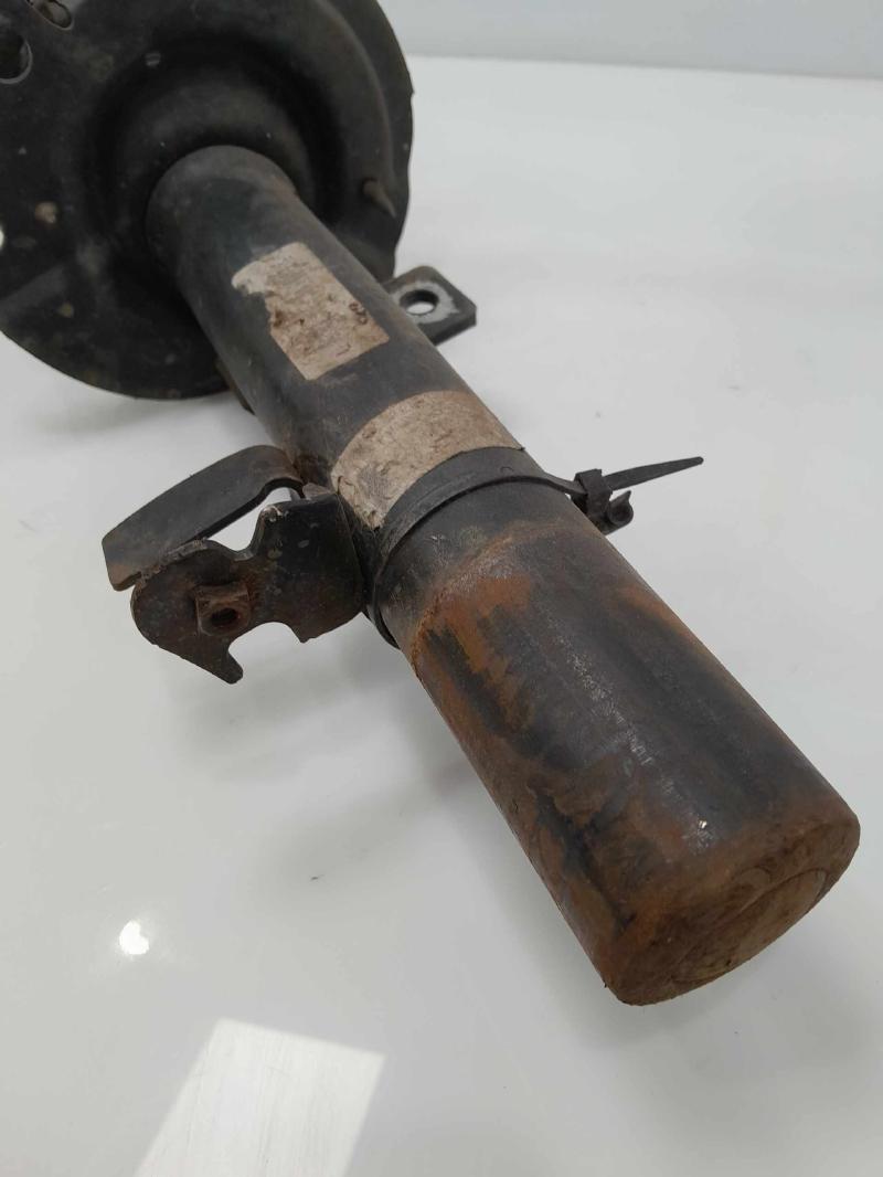 2019 Ford Escape Strut Assembly