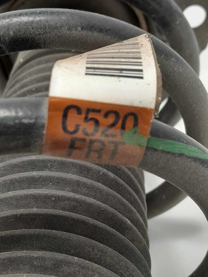 2019 Ford Escape Strut Assembly