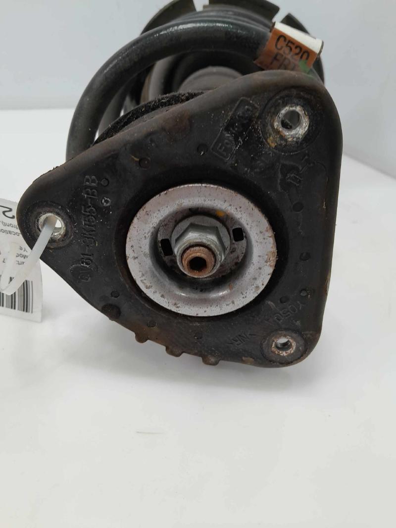 2019 Ford Escape Strut Assembly
