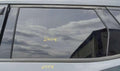 2019 Chevrolet Blazer Rear Door Glass/Window