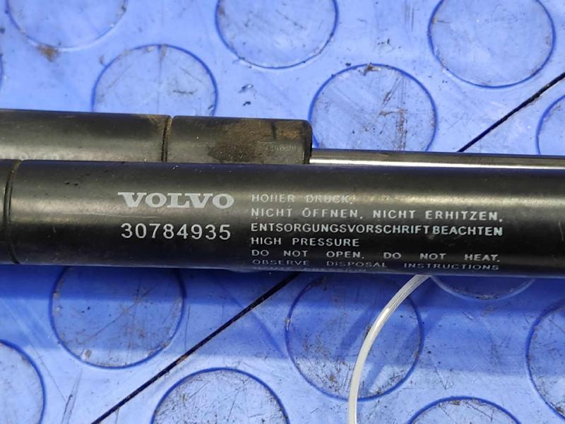 2010-2017 Volvo XC60 Hood Shock Supports Set of Two Genuine OEM 30784935