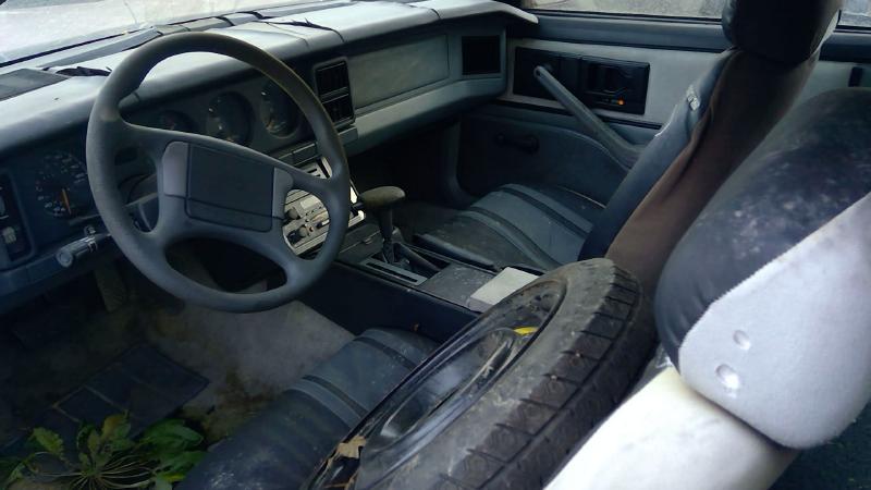 1988 Pontiac Firebird Quarter Panel