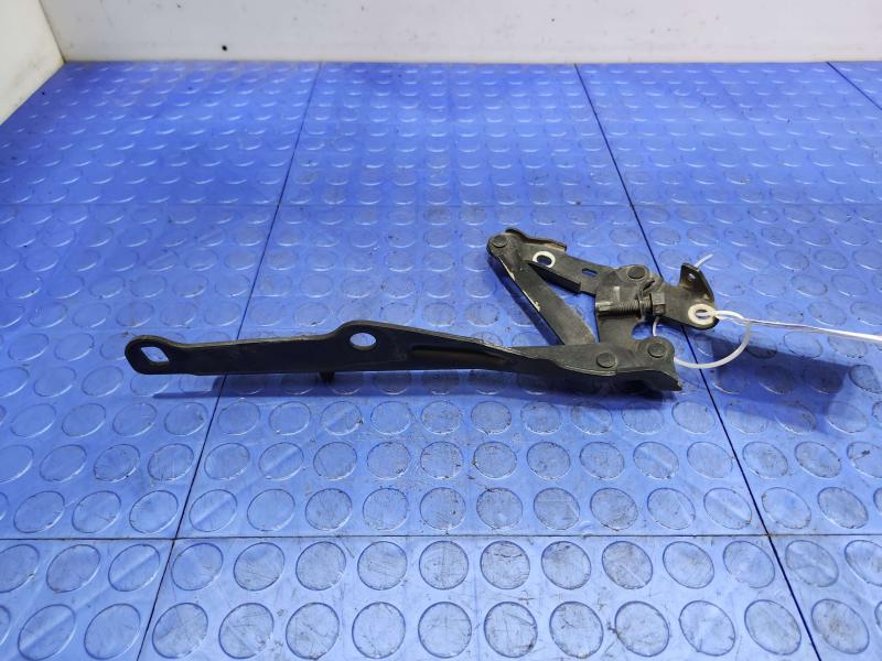 2010 Dodge Challenger Hood Hinge