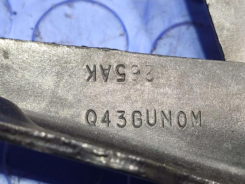 2010 Dodge Challenger Hood Hinge