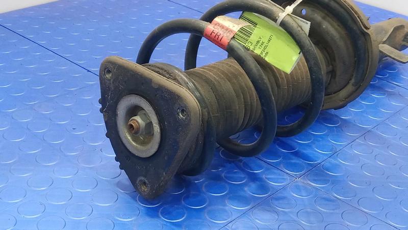 2013 Ford Focus Strut Assembly