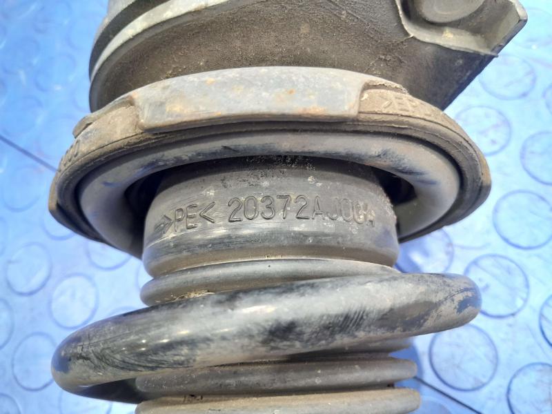 2015 Subaru Legacy Strut Assembly