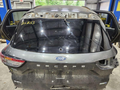 2020 Ford Escape Back Glass/Window