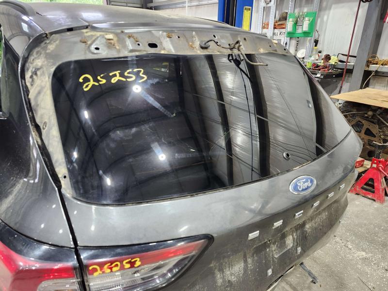 2020 Ford Escape Back Glass/Window