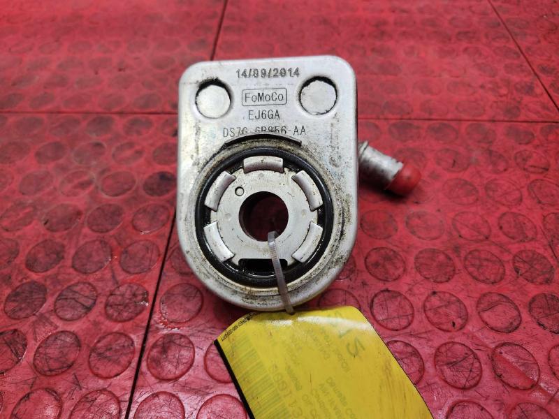 2014-2020 Ford Fusion 1.5L Engine Oil Cooler Genuine OEM Part DS7Z6B856A
