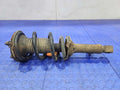 2009 Toyota Tacoma Strut Assembly