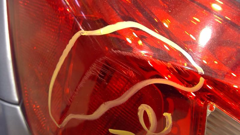 2018 Chevrolet Cruze Tail Light Assembly