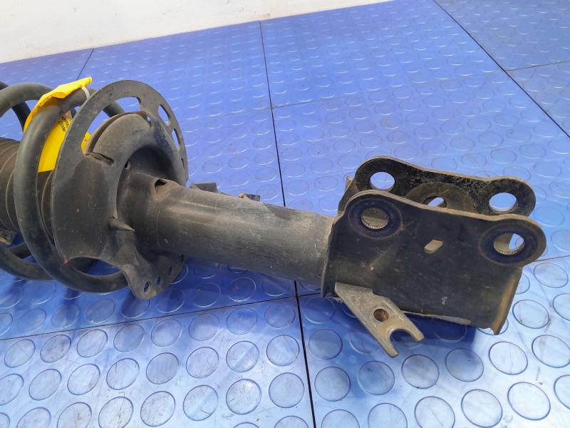 2015 Ford Fusion Strut Assembly