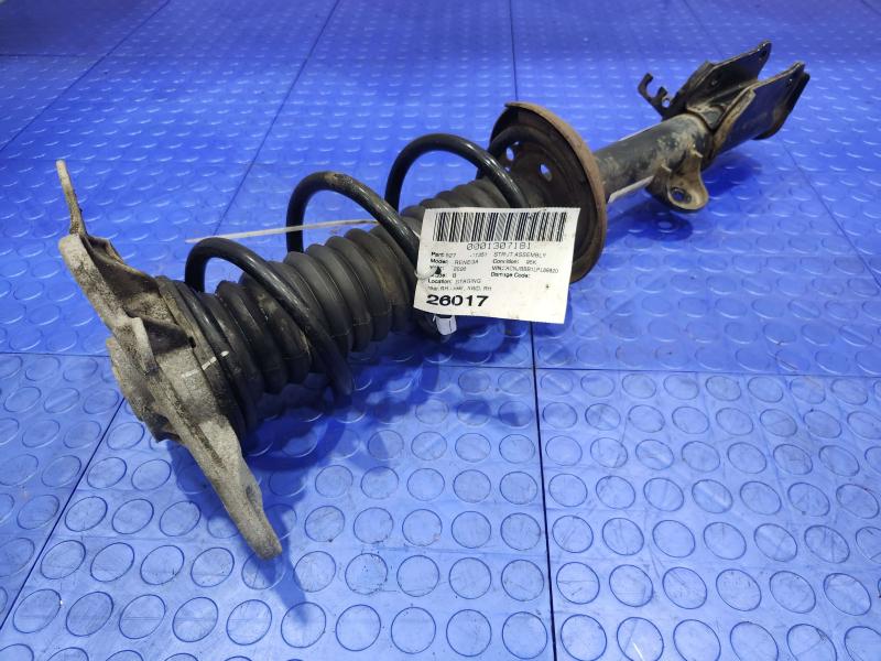 2020 Jeep Renegade Strut Assembly