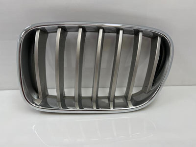 2013 BMW X3 Grille