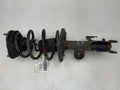 2012 Toyota Prius Strut Assembly