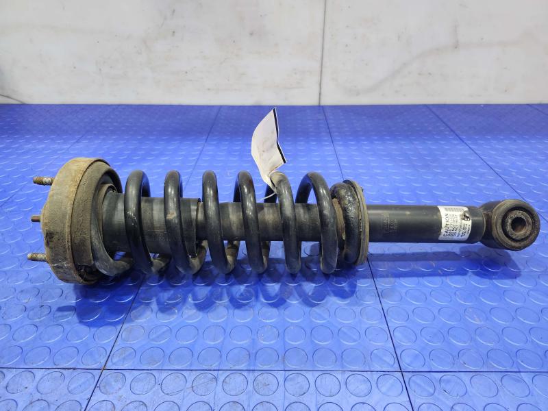 2013 Ford F-150 Strut Assembly