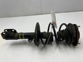 2005 Toyota Celica Strut Assembly