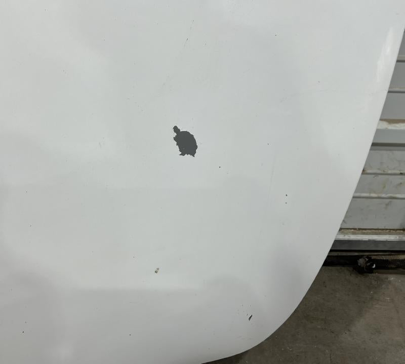 2008 Infiniti G35 Hood