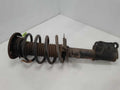 2013 Ford Fusion Strut Assembly