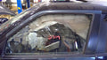 2011 - 2017 Nissan Juke Front Door Glass LH Driver Side OEM 803011KA0B