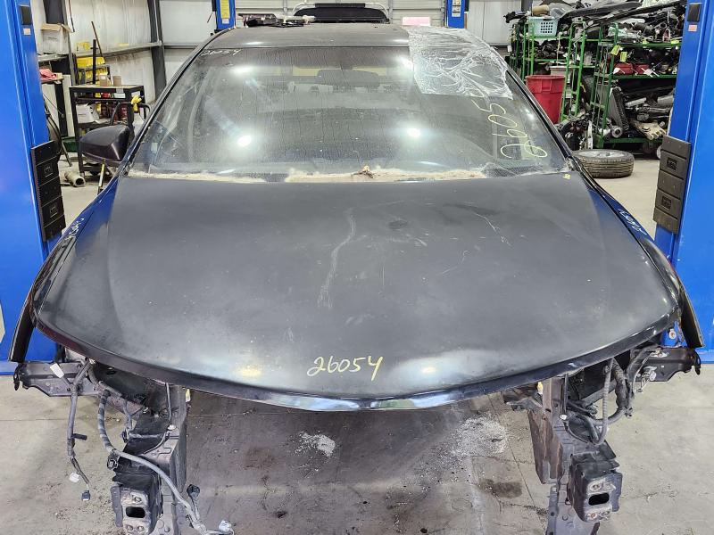 2013 Toyota Camry Hood