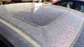 2006 Honda Civic Roof Glass (Glass Only)