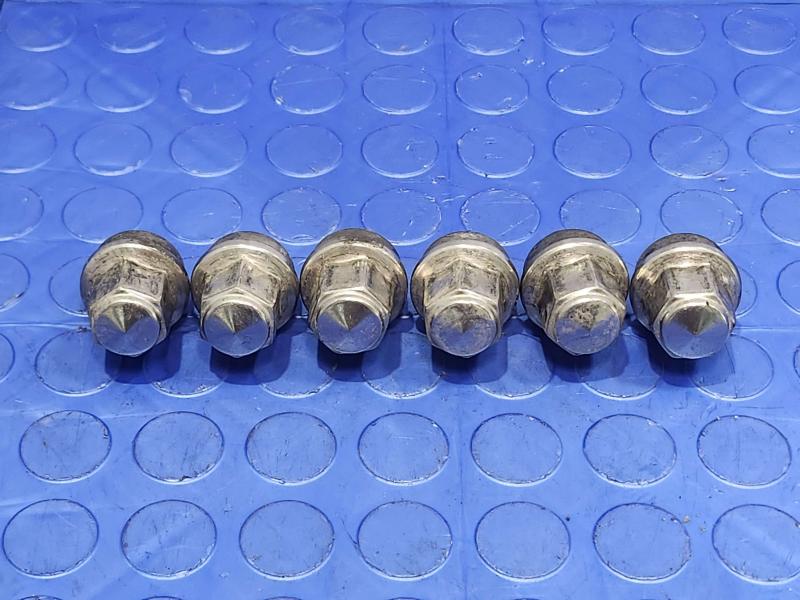 2018 Ford Expedition Lug Nuts