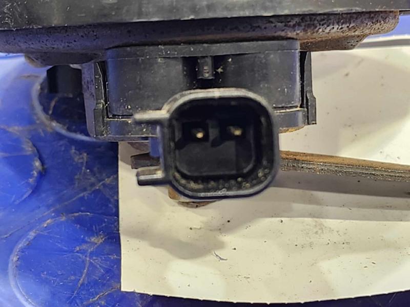 2017-2025 Cadillac XT5 Low Note Horn Assembly Genuine OEM 23290937