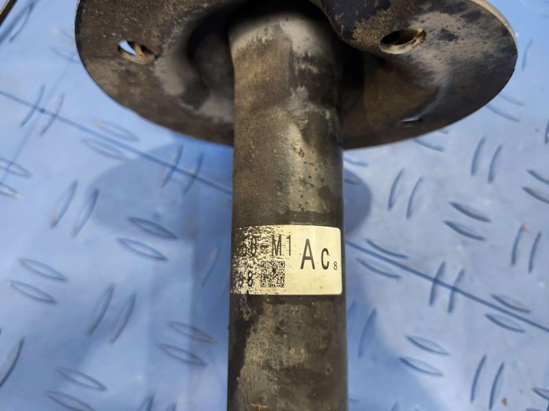 2011 Honda Accord Strut Assembly